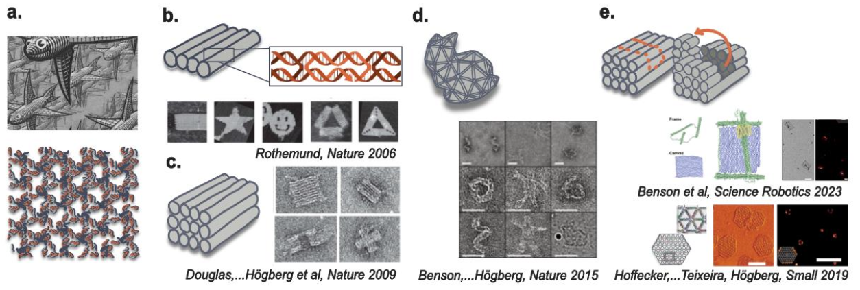 DNA nanotechnology 1