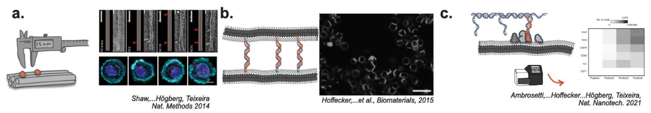 DNA nanotechnology 2