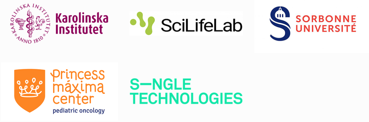 VOLUMINEX partner logos