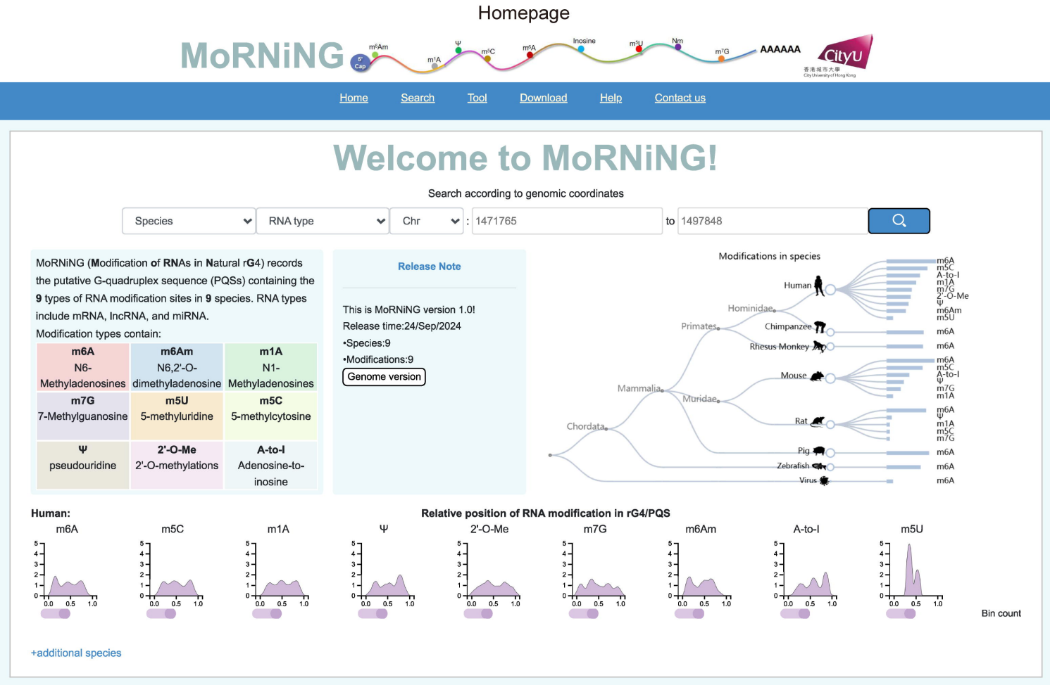 morningdatabase